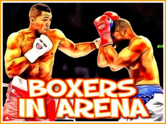 Game: Boxers in Arena
