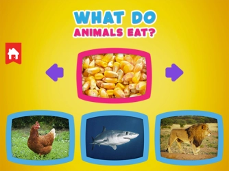 Game: What do animals eat