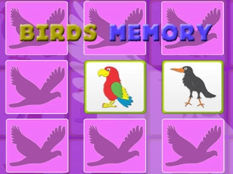 Game: Kids Memory with Birds