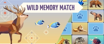 Game: Wild Memory