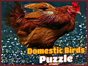 Game: Domestic Birds Puzzle