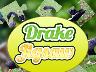 Game: Drake Jigsaw
