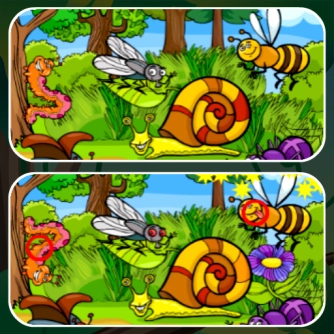 Game: Insects Photo Differences