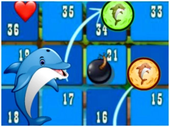 Game: Dolphin Dice Race