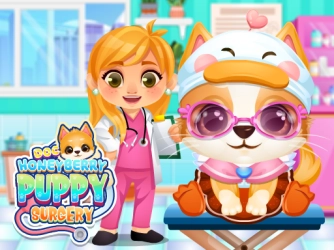 Game: Doc HoneyBerry Puppy Surgery