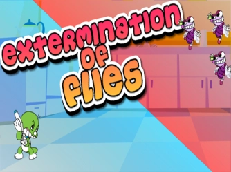 Game: Extermination of Flies