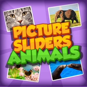 Game: Picture Slider Animals