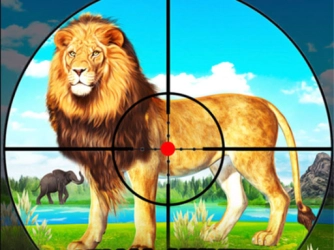 Game: Lion Hunter King