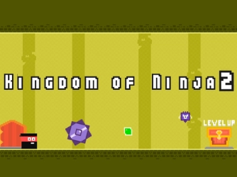 Game: Kingdom of Ninja 2