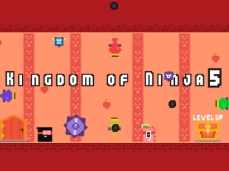 Game: Kingdom of Ninja 5