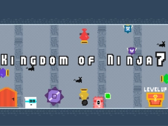 Game: Kingdom of Ninja 7