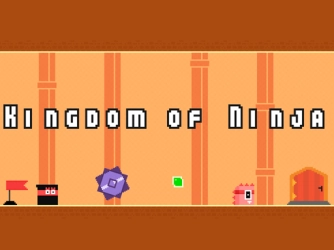 Game: Kingdom of Ninja
