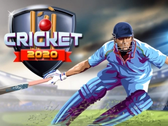 Game: Cricket 2020
