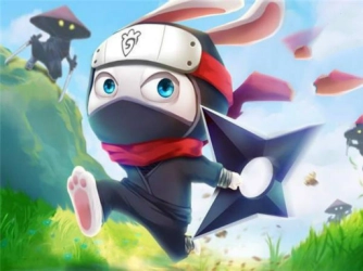 Game: Ninja Rabbit