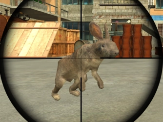 Game: Rabbit Shooter