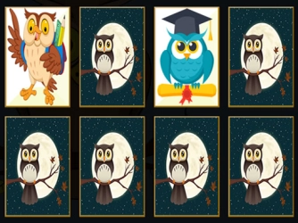 Game: Cute Owl Memory