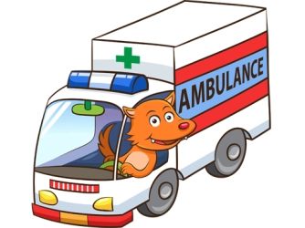 Game: Cartoon Ambulance Puzzle
