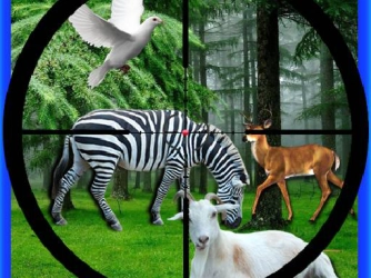 Game: Real Jungle Animals Hunting