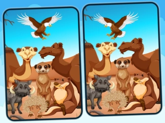 Game: Spot 5 Differences Deserts
