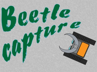 Game: Beetle capture