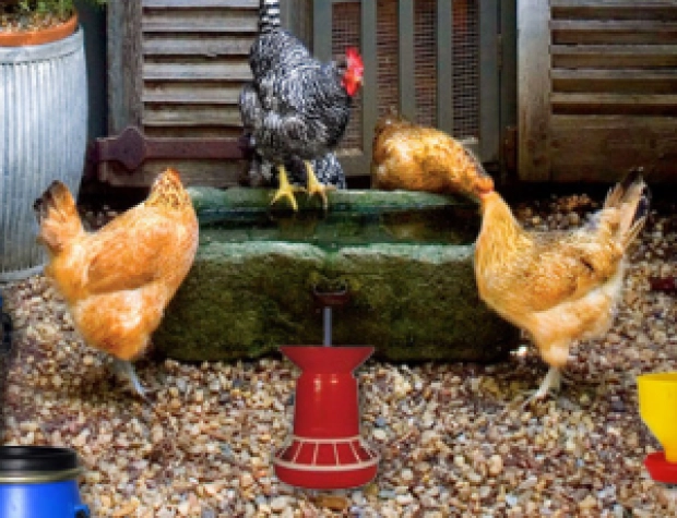 Game: Poultry Farm Easter Escape