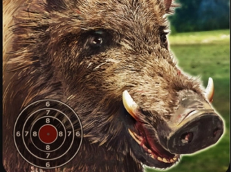 Game: BOAR HUNTING JIGSAW 