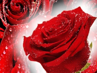 Game: Red Roses Puzzle