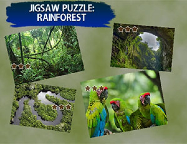 Game: Jigsaw Puzzle Rain Forest