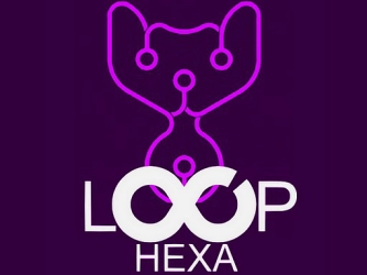 Game: Loop Hexa