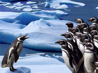 Game: Penguins Slide