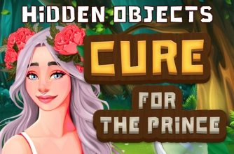 Game: Hidden Objects Cure For The Prince