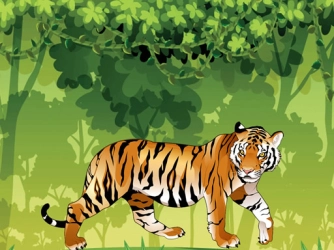 Game: Angry Tiger Coloring