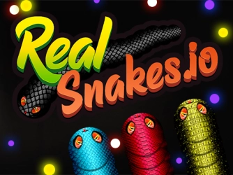 Game: Real Snakes.io
