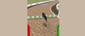 Game: Dog Racing Simulator