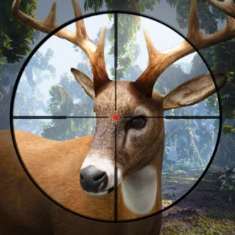 Game: Sniper Stag Hunter