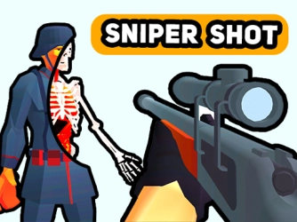 Game: Sniper Shot: Bullet Time