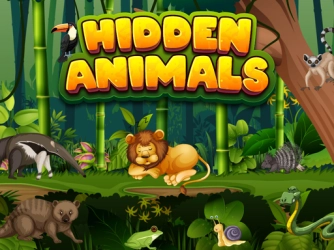 Game: Hidden Animals