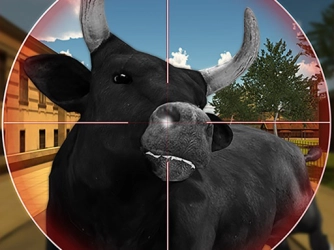 Game: Bull Shooting