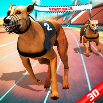 Game: Crazy Dog Racing Fever
