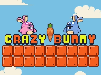 Game: Crazy Bunny