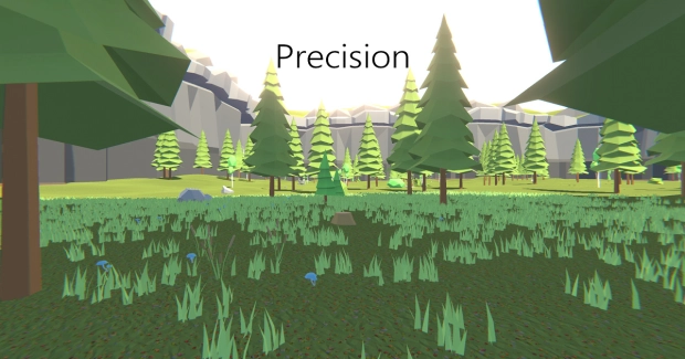 Game: Precision