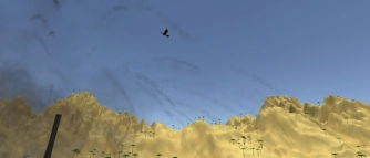 Game: Toucan Shooter