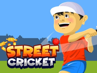 Game: Street Cricket