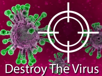 Game: Destroy The Virus