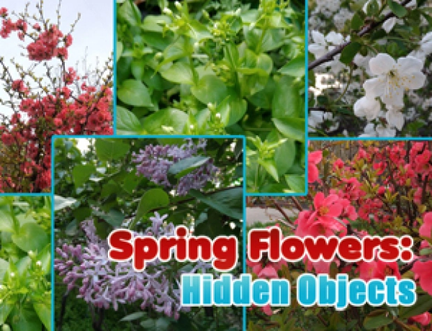 Game: Spring Flowers: Hidden Objects