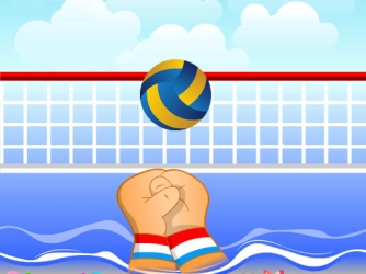 Game: Volley ball