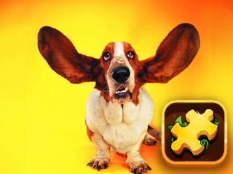 Game: Funny Dogs Puzzle