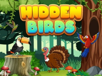 Game: Hidden Birds