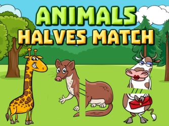Game: Animals Halves Match