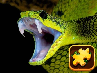 Game: Snake Puzzle Challenge